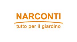 Narconti