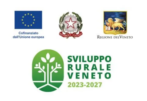 Progetto finanziato