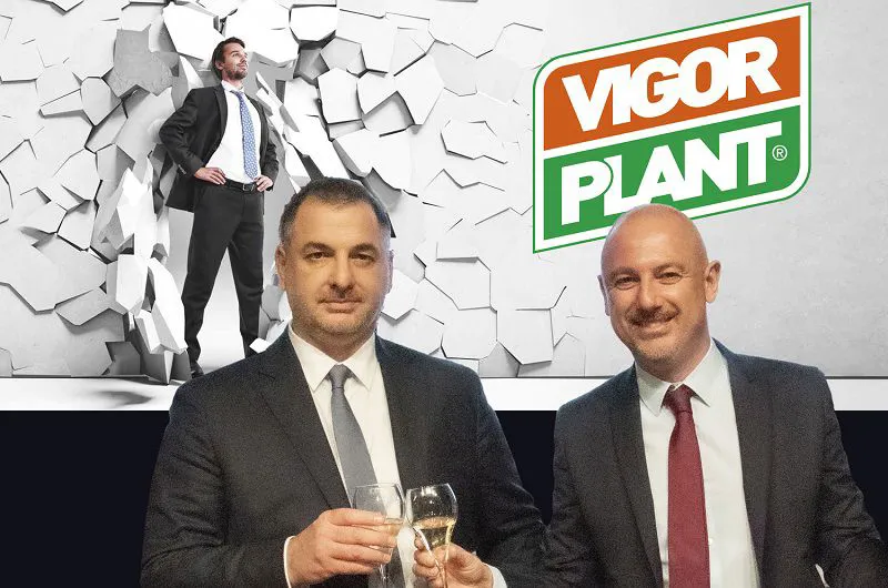 Soci Vigor Plant