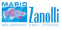 logo generico azienda