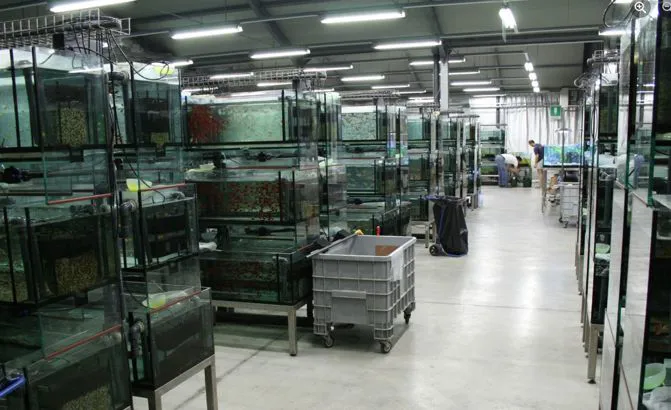 interno azienda zanolli mario verona