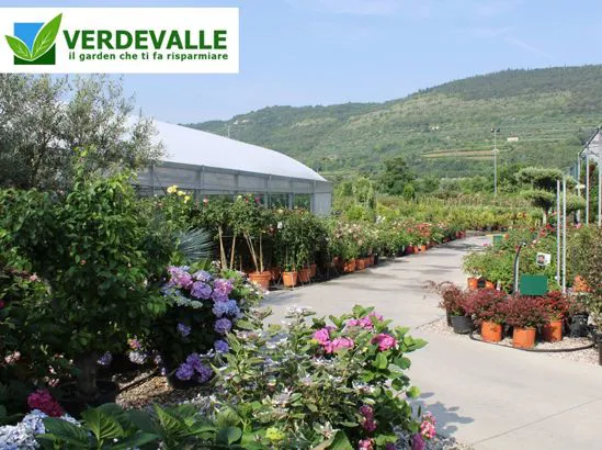 estreno verdevalle serre vivaisti a verona