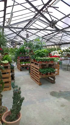 interno giardiniere le corti
