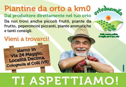 pubblicità spaccio orto 2000 verona