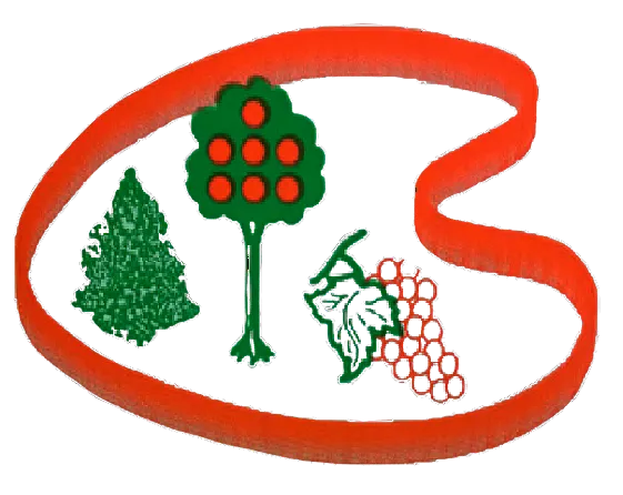 logo azienda Vivai Bevilacqua A. & C. Azienda Agricola