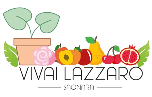 logo vivai lazzaro ss