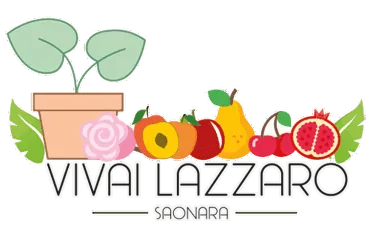 logo vivai lazzaro ss