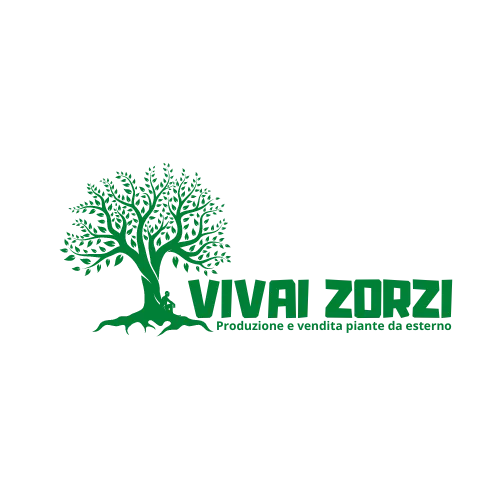 logo azienda vivai zorzi andrea