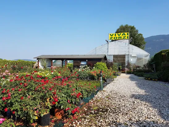 sede vivai zorzi andrea