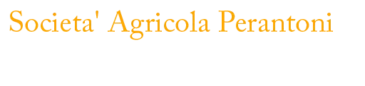 Azienda Agricola Perantoni Mario e Giuseppe SS Pastrengo 
