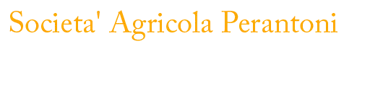Azienda Agricola Perantoni Mario e Giuseppe SS Pastrengo 