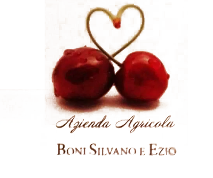 logo aziendale Azienda Agricola Boni Ezio e Silvano