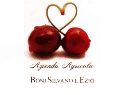 logo aziendale Azienda Agricola Boni Ezio e Silvano