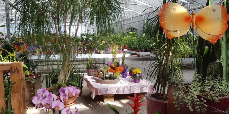 img interno Nuovo Garden di Meggiarin Maria