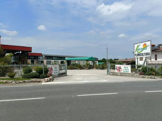 foto azienda Kenzia Floricoltura Vivai di Lombardi Enrico