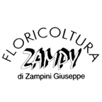 Floricoltura Zampy di Zampini Giuseppe