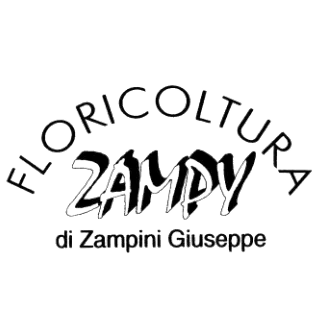 Floricoltura Zampy di Zampini Giuseppe