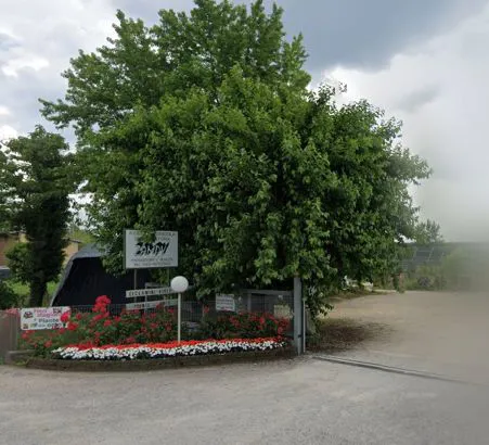 Floricoltura Zampy di Zampini Giuseppe