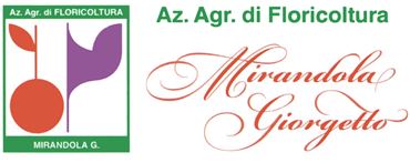 logo azienda Floricoltura Mirandola Giorgetto