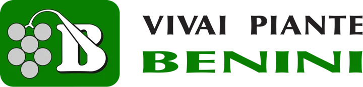 Vivai Piante Benini  