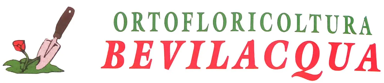 biglietto visita aziendale informazioni