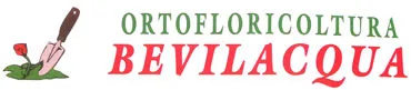 biglietto visita aziendale informazioni