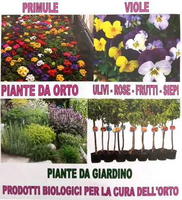 Ortofloricoltura Bevilacqua logo