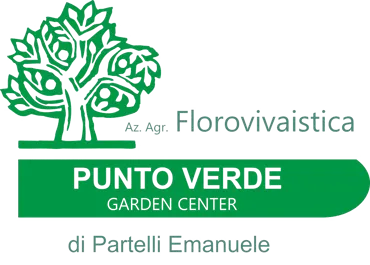 logo generico azienda