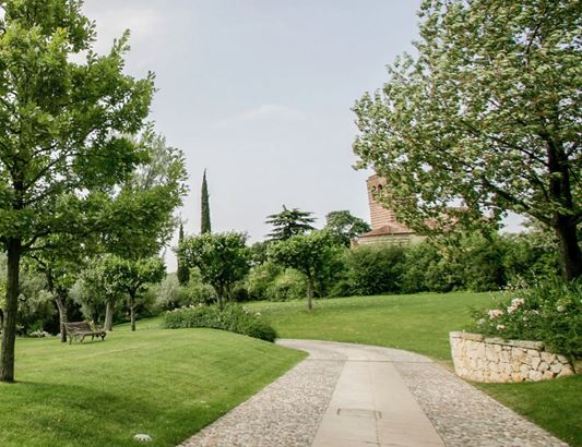 Immagine giardino con prato e sentiero in pietra