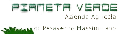 logo azienda paineta verde a verona