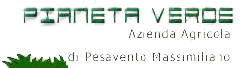 logo azienda paineta verde a verona