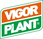 Vigor Plant