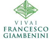 logo aziendale Giambenini francesco verona