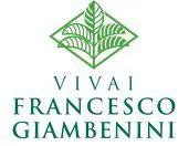 logo aziendale Giambenini francesco verona