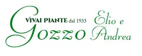 logo aziendale gozzo piante a verona