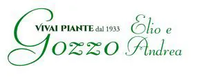 logo aziendale gozzo piante a verona