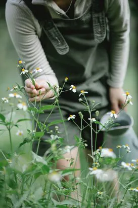 immagine giardiniere con pianta