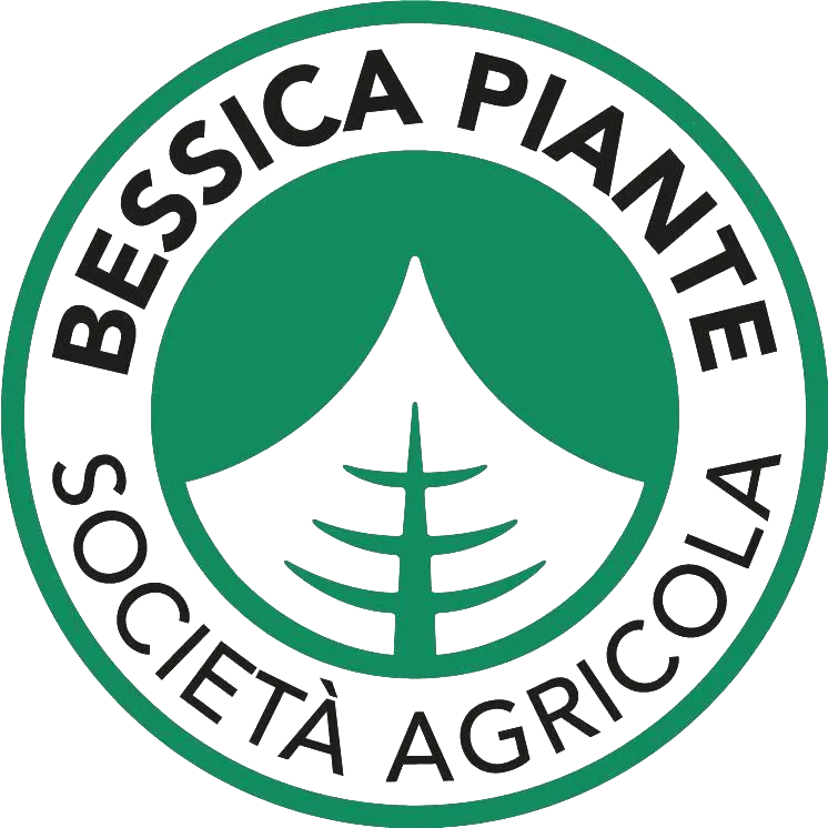 Bessica Piante
