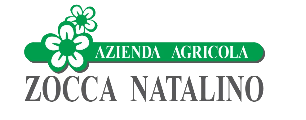 Natalino Zocca