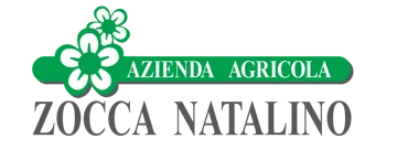 Natalino Zocca