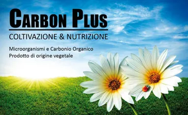 Verde Servizi