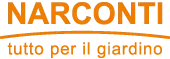 Narconti