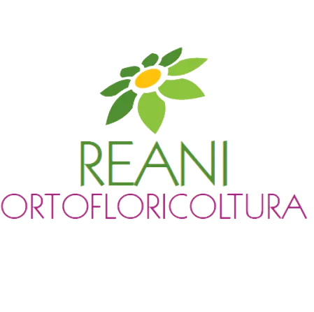 Logo Floricoltura Reani