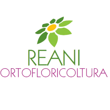Logo Floricoltura Reani
