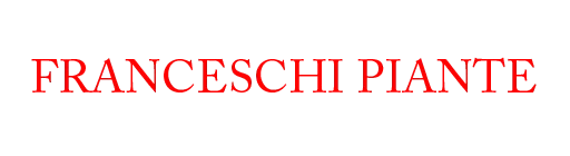Franceschi Piante logo