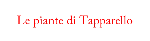 Le piante di Tapparello logo