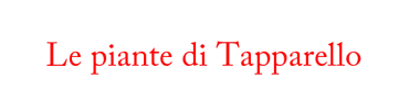 Le piante di Tapparello logo