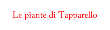 Le piante di Tapparello logo