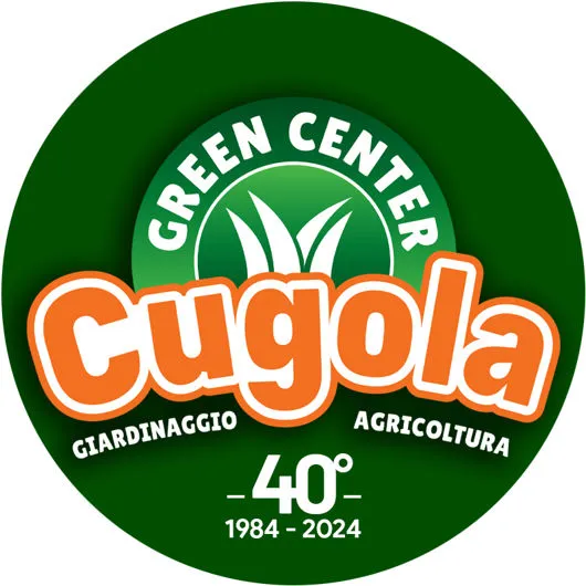 logo azienda con 40 anni di attività